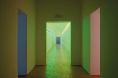 Alessandro_Zambianchi_Dan_Flavin_Panza_Collection_05.jpg  